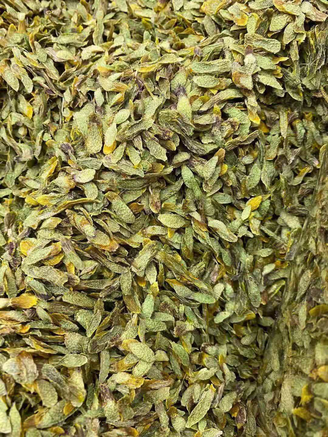 铁皮石斛片 枫斗 石斛干条 粉 石斛花石斛片现货一件代发/批发