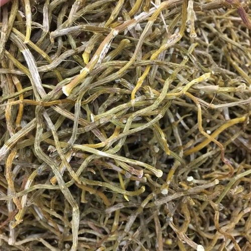 铁皮干石斛条新鲜条野生铁皮霍山石斛铁皮枫斗云南干花