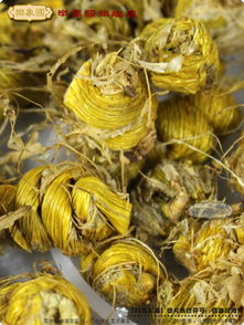 乐象国石斛枫斗 霍斛铁皮 特级水草芽枫斗35克a7