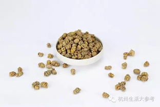 今日福利 鲜吃干吃都好的高品质铁皮石斛,来自云南天然的味道