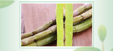 铁皮枫斗冲剂 3g 28包家庭实惠装铁皮枫斗颗粒