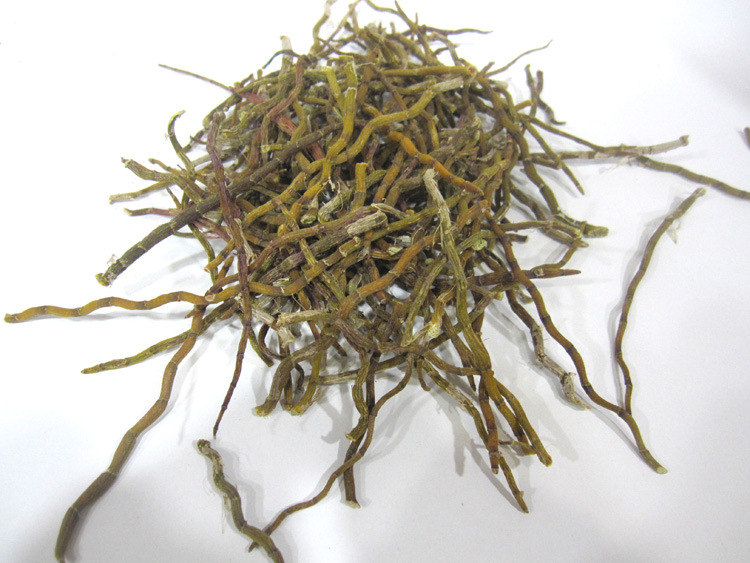 铁皮干条枫斗石斛烤条 打粉实惠价格低基地直销