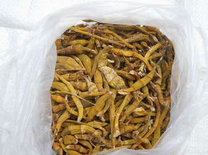 一呼百应公司频道