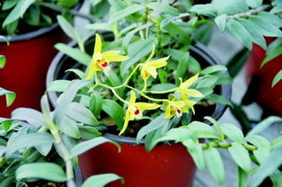 滨州 齐鲁晚报生活馆 开张了