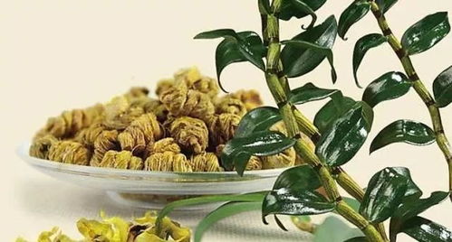 进补这事儿可不能盲目从众,