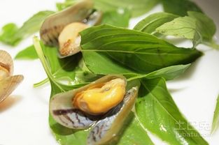 铁皮枫斗怎么吃 铁皮枫斗的多种吃法