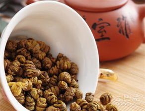 铁皮枫斗的功效与作用 价格 怎么吃 不适合人群 土巴兔家居百科