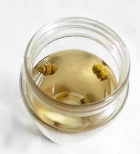 铁皮石斛这样吃真的可以降低血糖血脂