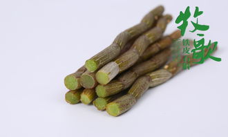 铁皮石斛与铁皮枫斗 能否像甘蔗一样直接食用？