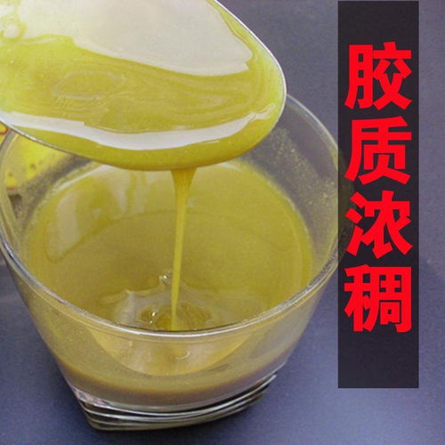 雁荡山铁皮石斛与铁皮枫斗粉 养胃佳品的全面解析