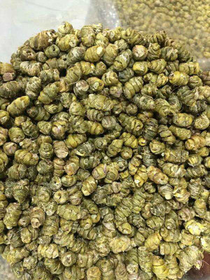 正宗浙江乐清铁皮枫斗 产地直销的国家认证精品