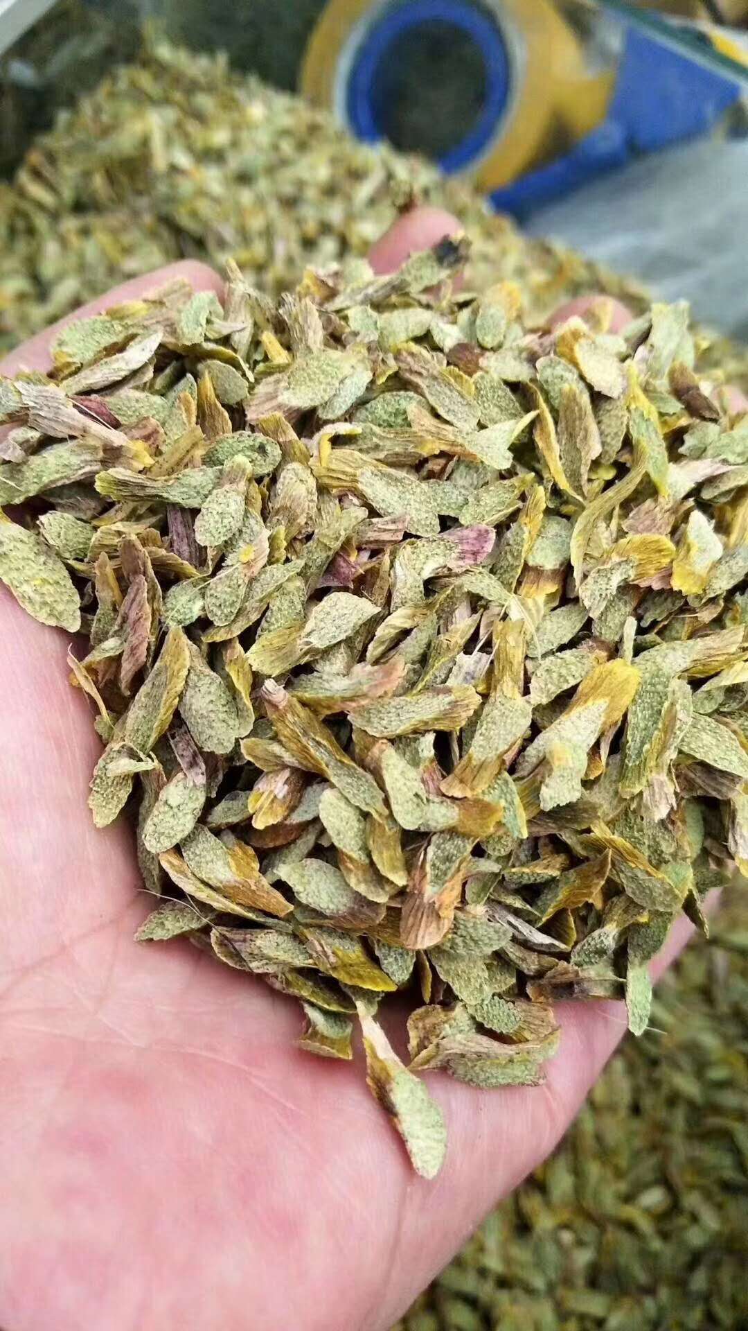 铁皮石斛枫斗 半山农铁皮干石斛枫斗颗粒礼盒装的养生奥秘