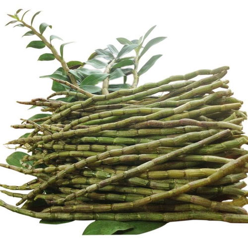 铁皮枫斗与石斛 健康养生的珍贵宝藏