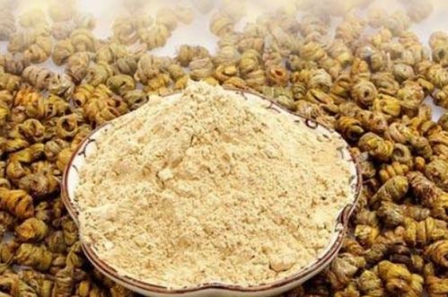 铁皮石斛（枫斗） 功效、禁忌与食用方法全解析